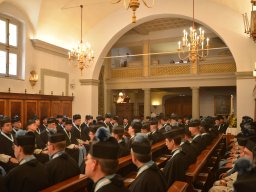 135-Chapitre-Gricigliano_20240828_120030