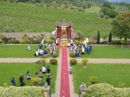 Gricigliano_20240530_113606