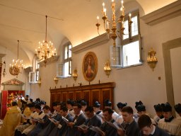 Gricigliano_20240607_084017