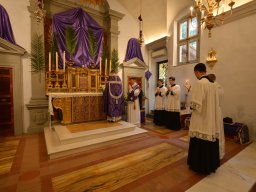 001-DimancheRameaux-Gricigliano_20250413_084137