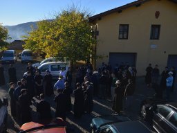 001-Olives-Gricigliano_2025-11-04_09-44-28_0167