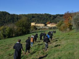 023-Olives-Gricigliano_2025-11-06_10-55-40_0418