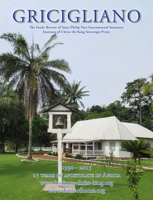 Afrykańskie Misje Instytutu